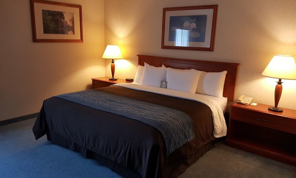 Comfort Inn & Suites Виктория Екстериор снимка