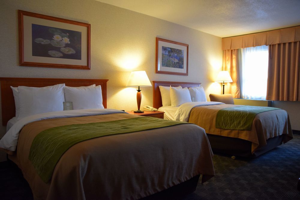Comfort Inn & Suites Виктория Екстериор снимка