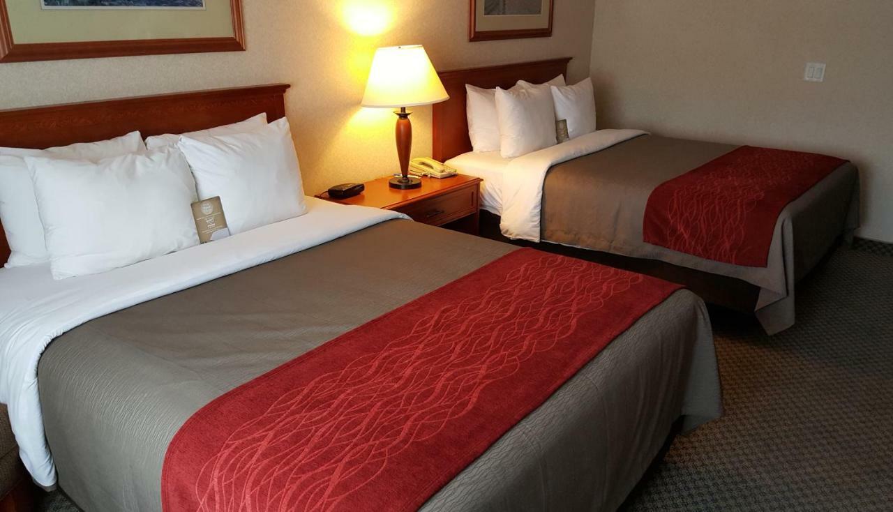 Comfort Inn & Suites Виктория Екстериор снимка