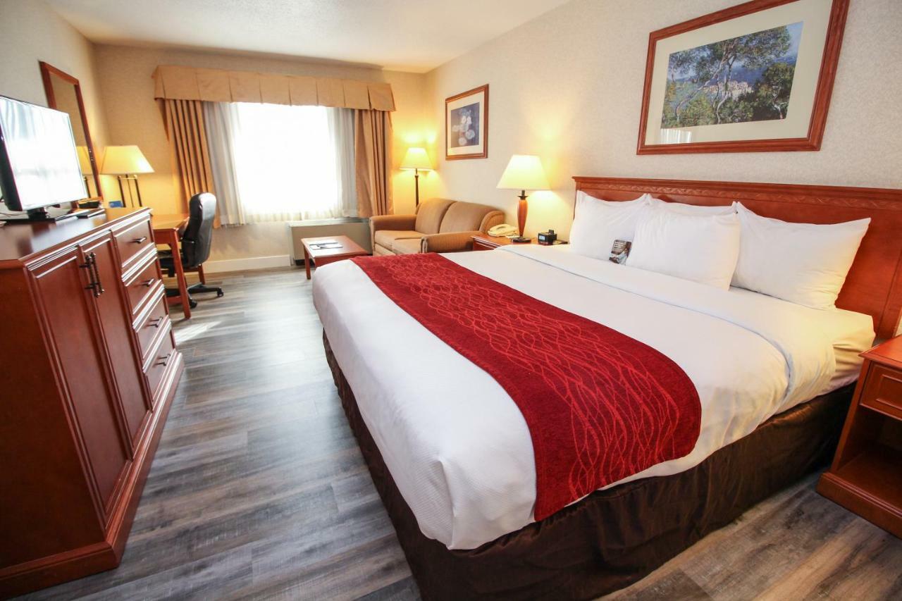 Comfort Inn & Suites Виктория Екстериор снимка