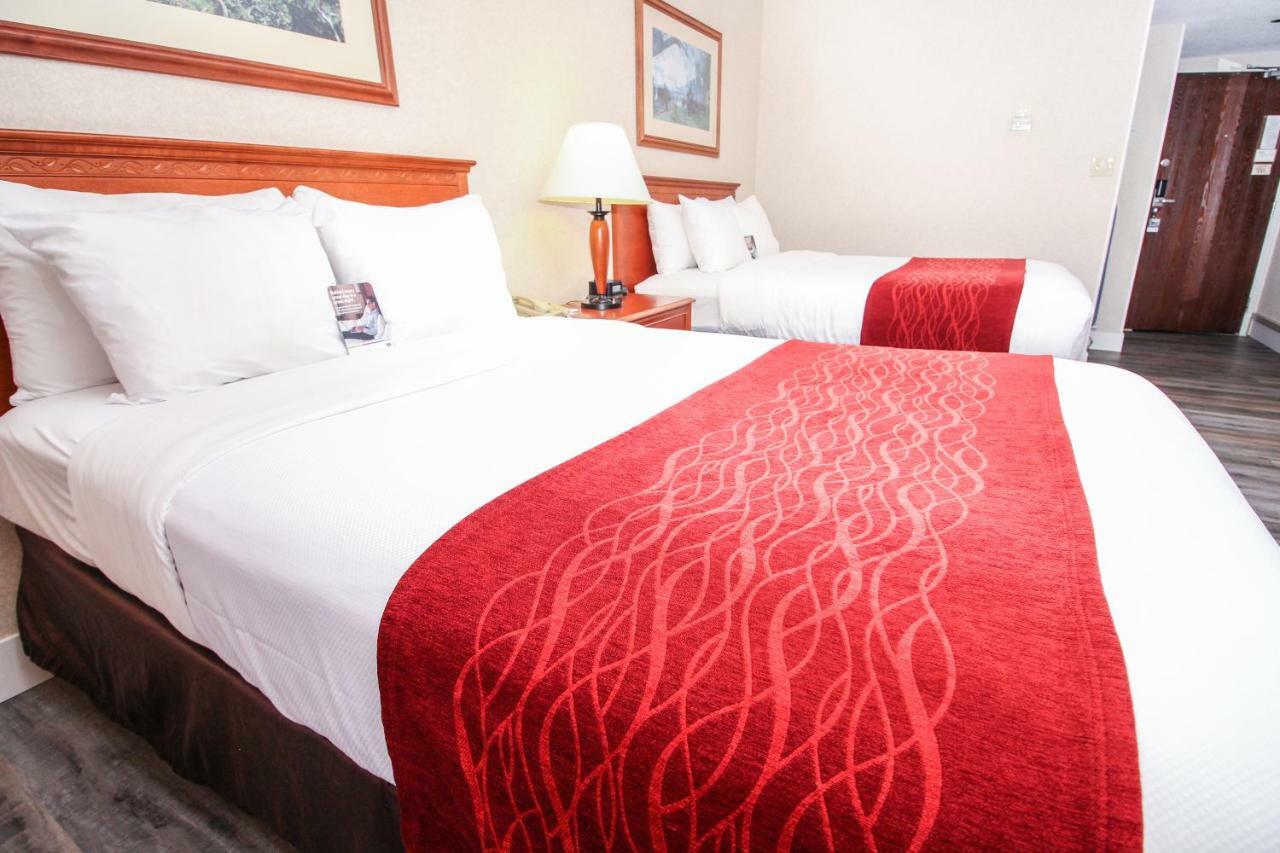 Comfort Inn & Suites Виктория Екстериор снимка