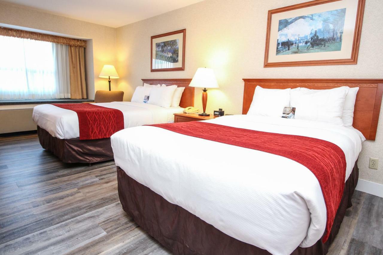 Comfort Inn & Suites Виктория Екстериор снимка